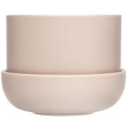 Iittala Nappula Krukke Med Fat 170x130 mm, Beige