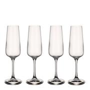 Villeroy & Boch - Ovid champagneglass 25 cl 4 stk