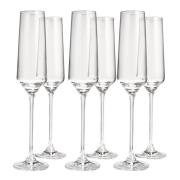 Anders Petter - Celebration champagneglass 19 cl 6 stk klar