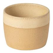 Costa Nova - Arenito krus 20 cl lysegul