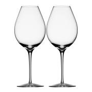 Orrefors - Difference Primeur Vinglass 62 cl 2 stk