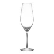 Orrefors - Merlot champagneglass 33 cl
