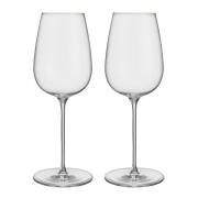 Orrefors - Orrefors x Björn Frantzén hvitvinsglass 44 cl 2 stk