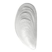 Serax - Les Objets Mouleversants skål L 46x21,5 cm hvit