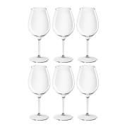 Quattro - Clubhouse vinglass 51 cl 6 stk tritanplast