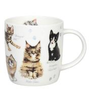 Könitz - Krus 40 cl Cats