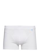 Shorts Boksershorts White Schiesser