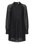 Texas Lace Dress Kort Kjole Black Noella