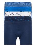 Shorts Night & Underwear Underwear Underpants Multi/patterned Schiesse...