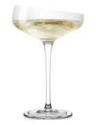 Champagne Coupe Home Tableware Glass Champagne Glass Nude Eva Solo