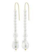 Willpower Pearl Earrings Øredobber Smykker White Pilgrim