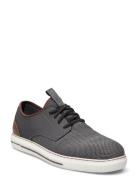 Mens Pertola - Rolette Lave Sneakers Black Skechers