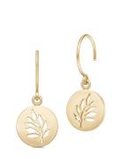 Signature Earring - Gold Øredobber Smykker Gold Julie Sandlau