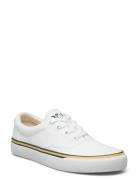 Logo Cotton Canvas Sneaker Lave Sneakers White Polo Ralph Lauren