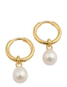 Treasure Pearl Hoops Gold Øredobber Smykker Gold Syster P