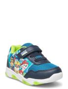 Pawpatrol Sneakers Lave Sneakers Blue Paw Patrol