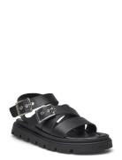 Rebecca Buckle Flate Sandaler Black Shoe The Bear