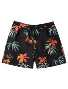 Everyday Mix Volley 15 Badeshorts Black Quiksilver