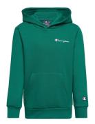 Hooded Sweatshirt Sport Sweat-shirts & Hoodies Hoodies Green Champion