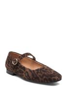 Ballerina Ballerinasko Ballerinaer Brown Billi Bi