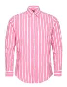 Summer Stripe Shirt - Classic Fit Designers Shirts Casual Pink Morris