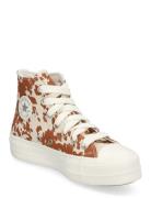 Chuck Taylor All Star Lift Høye Sneakers Brown Converse