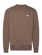 Summerdale Designers Sweat-shirts & Hoodies Sweat-shirts Brown Dickies