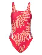 Farm 3S Clx St Sport Swimsuits Red Adidas Sportswear