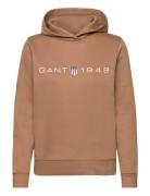 Reg Printed Graphic Hoodie Tops Sweat-shirts & Hoodies Hoodies Brown G...