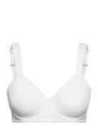 Adamo Basic Padded Wired Bra Lingerie Bras & Tops Full Cup Bras White ...