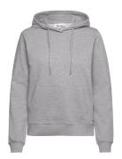 Sweat Hoodie Tops Sweat-shirts & Hoodies Hoodies Grey Boozt Merchandis...