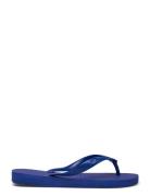 Hav. Top Shoes Summer Shoes Sandals Flip Flops Blue Havaianas