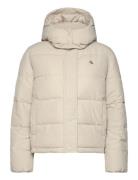 Matte Monologo Nd Short Puffer Fôret Jakke Cream Calvin Klein Jeans