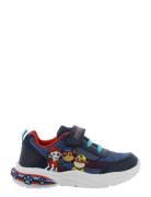 Paw Patrol Sneaker Lave Sneakers Navy Paw Patrol