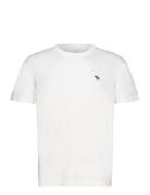 Anf Mens Knits Tops T-shirts Short-sleeved White Abercrombie & Fitch