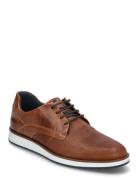 Beko Lave Sneakers Brown Dune London