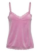 Cami Velours Scallop Lace Topp Pink Hunkemöller