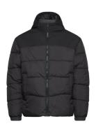 Jjmoon Hood Puffer Fôret Jakke Black Jack & J S