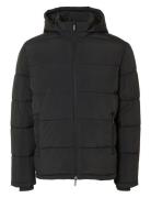 Slhcooper Puffer Jkt Noos Fôret Jakke Black Selected Homme