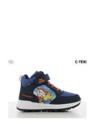 Paw Patrol High Sneaker Høye Sneakers Navy Paw Patrol