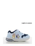 Bluey Sneaker Lave Sneakers Blue Bluey