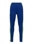 Squadra21 Training Pant Youth Bottoms Sweatpants Blue Adidas Performan...