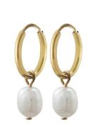 Perla Hoops Accessories Jewellery Earrings Hoops Gold Edblad