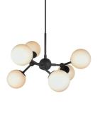 Atom Home Lighting Lamps Ceiling Lamps Pendant Lamps Black Halo Design