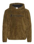 Hooded Top Tops Sweat-shirts & Hoodies Hoodies Khaki Green Champion