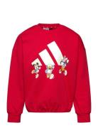 Lk Dy Mm Swt Sport Sweat-shirts & Hoodies Sweat-shirts Red Adidas Spor...