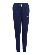 Ent22 Sw Pnty Sport Sweatpants Navy Adidas Performance