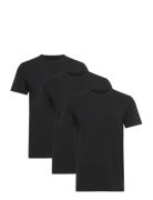 Basic 3 Pack T-Shirt Tops T-shirts Short-sleeved Black Lyle & Scott